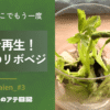 三つ葉のリボベジ