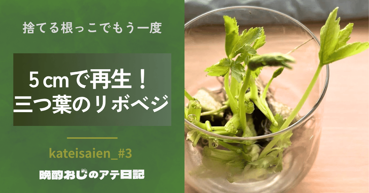 三つ葉のリボベジ