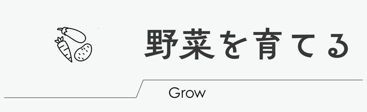 野菜を育てる